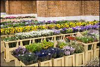 www.floristic.ru - .        Cash & Carry    .