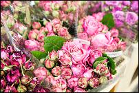 www.floristic.ru - .        Cash & Carry    .