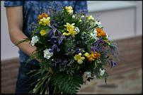 www.floristic.ru - .  !