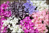 www.floristic.ru - .        Cash & Carry    .