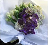 www.floristic.ru - .  "" (, )