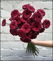 www.floristic.ru - .  "" (, )