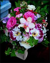 www.floristic.ru - .  