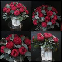 www.floristic.ru - . .    .