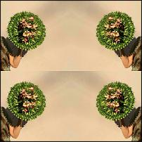 www.floristic.ru - .      ->   ()