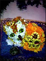 www.floristic.ru - .   ....