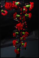 www.floristic.ru - .   ""