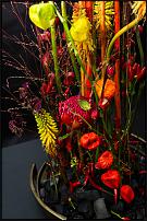 www.floristic.ru - .   ""