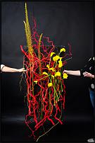 www.floristic.ru - .   ""
