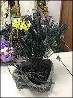 www.floristic.ru - .   ""