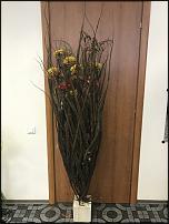 www.floristic.ru - .   ""