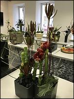 www.floristic.ru - .   ""