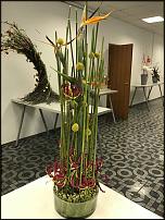 www.floristic.ru - .   ""