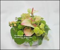 www.floristic.ru - .   .