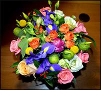 www.floristic.ru - .      .