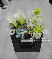 www.floristic.ru - .   .