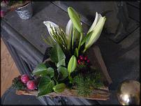 www.floristic.ru - .   ,    