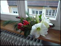 www.floristic.ru - .   ,    