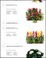 www.floristic.ru - .      