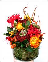 www.floristic.ru - .     