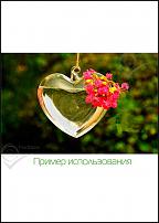 www.floristic.ru - . Flor Bazar. .   