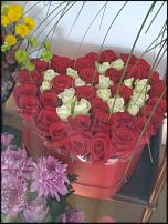 www.floristic.ru - .   .