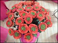 www.floristic.ru - .      . !