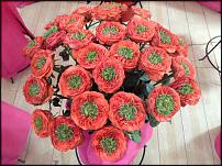 www.floristic.ru - .      . !