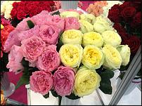 www.floristic.ru - .      . !