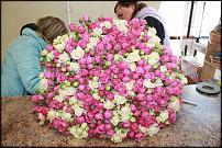 www.floristic.ru - .  