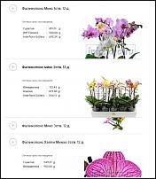 www.floristic.ru - .      