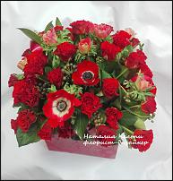 www.floristic.ru - .   .