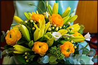 www.floristic.ru - . 