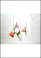 www.floristic.ru - . Flor Bazar. .   