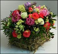 www.floristic.ru - . !   !