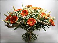 www.floristic.ru - .    