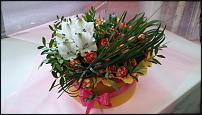 www.floristic.ru - .       ...