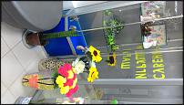 www.floristic.ru - . ,   