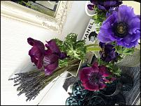 www.floristic.ru - .  "" (, )