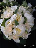 www.floristic.ru - Флористика. Разбор полётов
