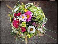 www.floristic.ru - .  .