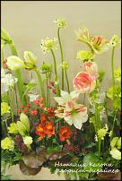 www.floristic.ru - .  .