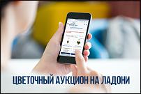 www.floristic.ru - Флористика. Цветочный аукцион