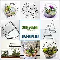 www.floristic.ru - .  -      