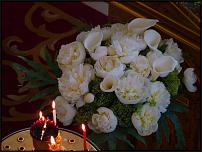 www.floristic.ru - .    (   , , )