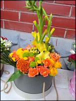 www.floristic.ru - .  