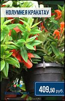 www.floristic.ru - .  -      