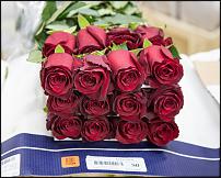 www.floristic.ru - .        Cash & Carry    .