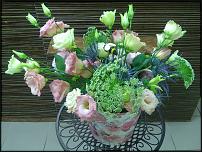 www.floristic.ru - .  