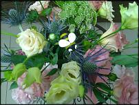 www.floristic.ru - .  